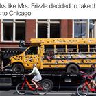 Damnet Mr Frizzle