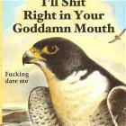 Dare Me