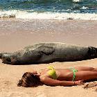 Day At The Beach