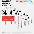 Deadliest Animals