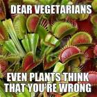Dear Vegetarians