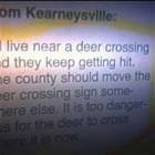 Deer Crossing