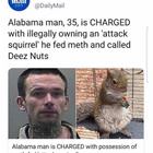 Deez