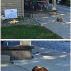 Defending This House