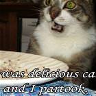 Delicious Cake