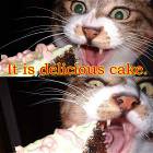 Delicious Cake