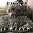 Delicious Pig
