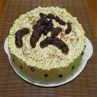 Delicious Turd Cake