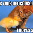 Delicious