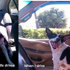 Depending On Who Drives