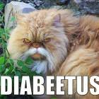 Diabeetus