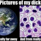 Dick Pics