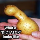 Dictator