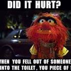 Did It Hurt