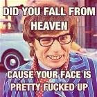 Did You Fall