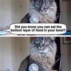 Did You Know