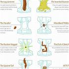 Different Poops