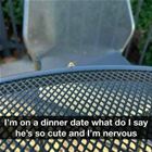 Dinner Date