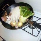 Dinner