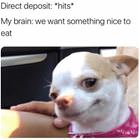 Direct Deposit Hits