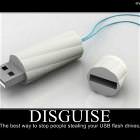 Disguise