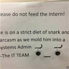 Do Not Feed The Intern