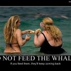 Do Not Feed The Whales