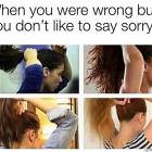 Do Not Like Saying Sorry