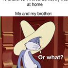 Do Not Try This At Home