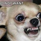 Do Not Want