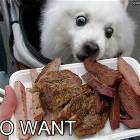 Do Want