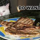 Do Want