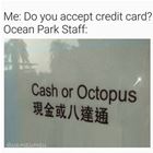 Do You Accept