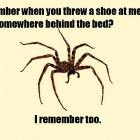 Do You Remember