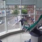 Do You Want The Blinds Open