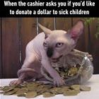 Do You Want To Donate