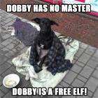 Dobby