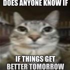 Does Anyone Know
