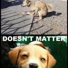 Doesnt Matter