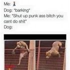 Dog Barking