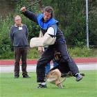 Dog Definately Wins This