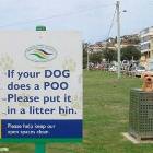 Dog Did A Poo