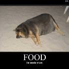 Dog Needs Moar Food