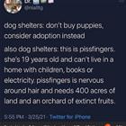 Dog Shelters