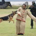 Dog Trainer
