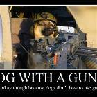 Dog With A Gun