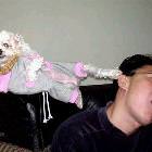 Doggy Kick