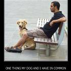 Dogs Common Interests