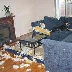 Dogs Couch
