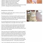 Dogs Vs Cat Diary